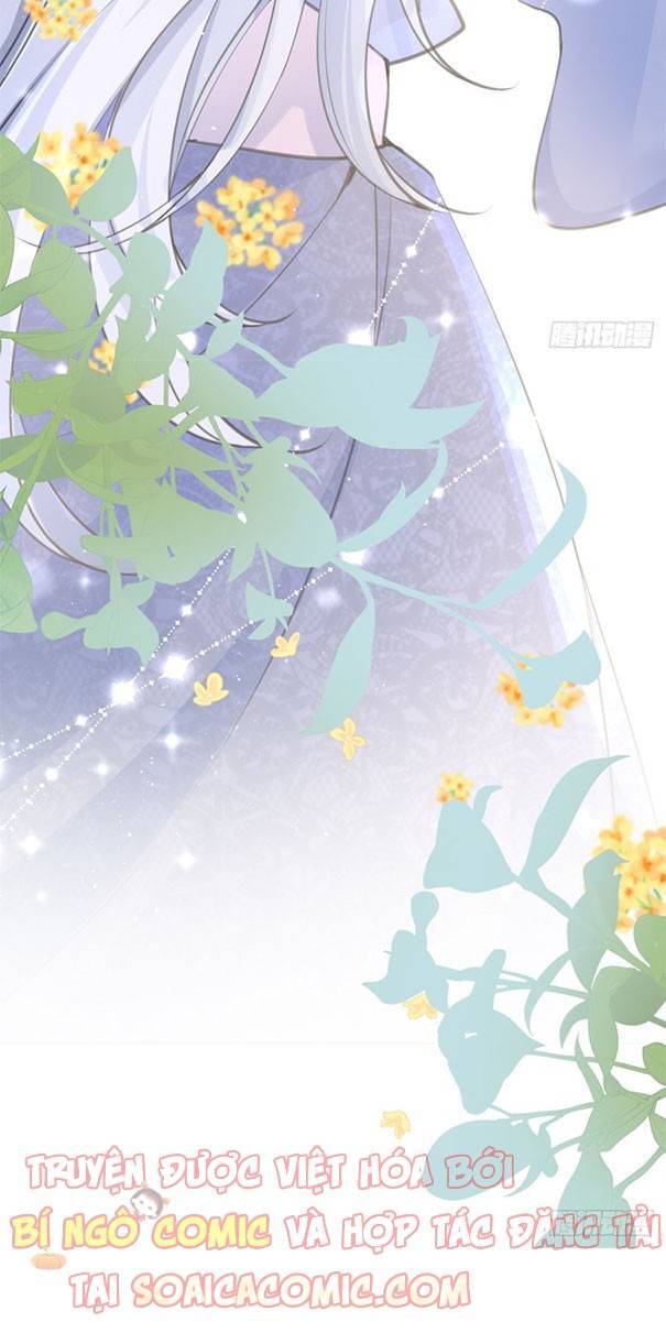 Thiên Kim Đẳng Cấp Của Ác Ma Chapter 2 - 12