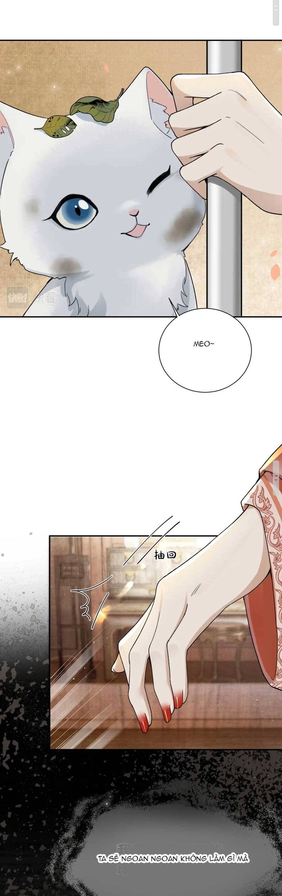 Bệnh Kiều Công Chúa Muốn Hắc Hóa Chapter 10 - 21