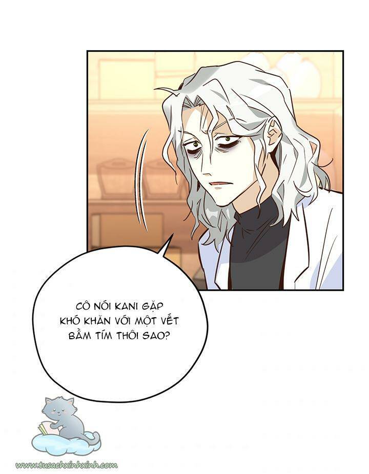 Hãy Dậy Đi Hỡi Chiến Binh Chapter 39 - 47
