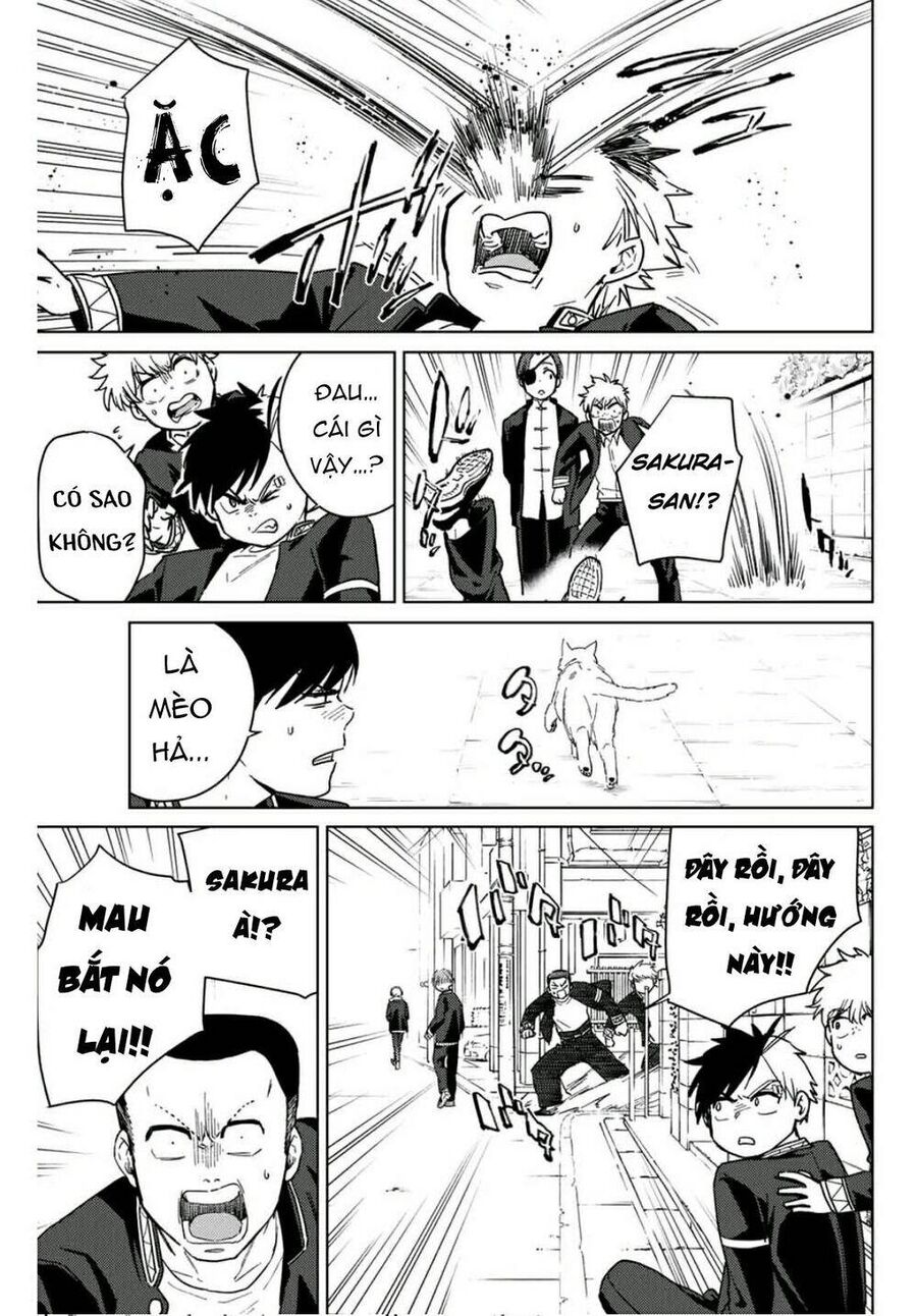 Wind Breaker (Nii Satoru) Chapter 35 - 19