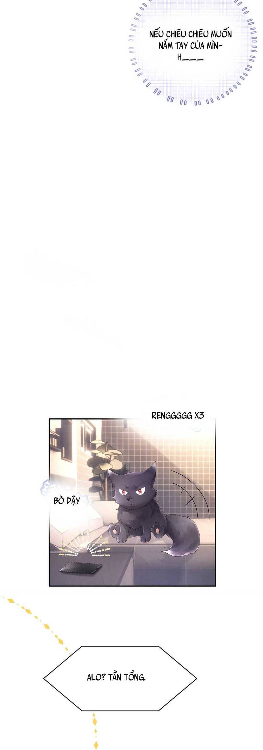 Bá Tổng Không Có Não Chapter 5 - 39