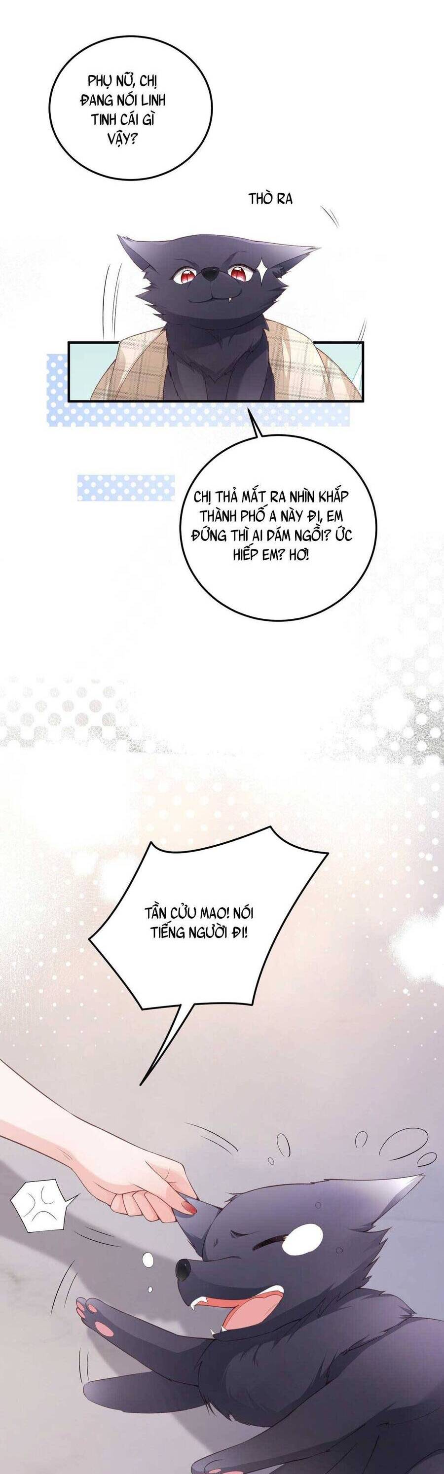 Bá Tổng Không Có Não Chapter 7 - 23