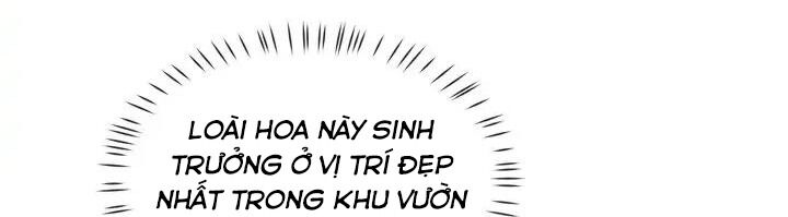 Người Thừa Kế Chapter 44 - 154