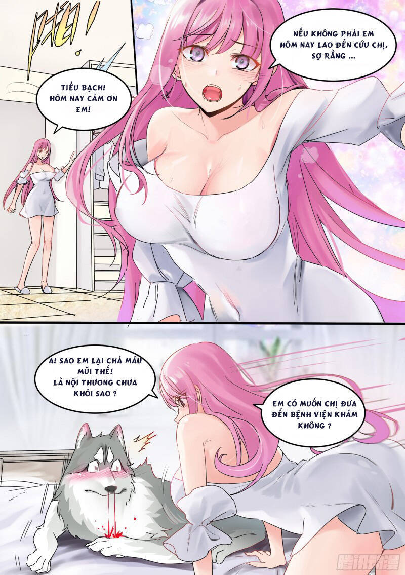 Trọng Sinh Thành Chó Của Nữ Thần Chapter 1 - 5