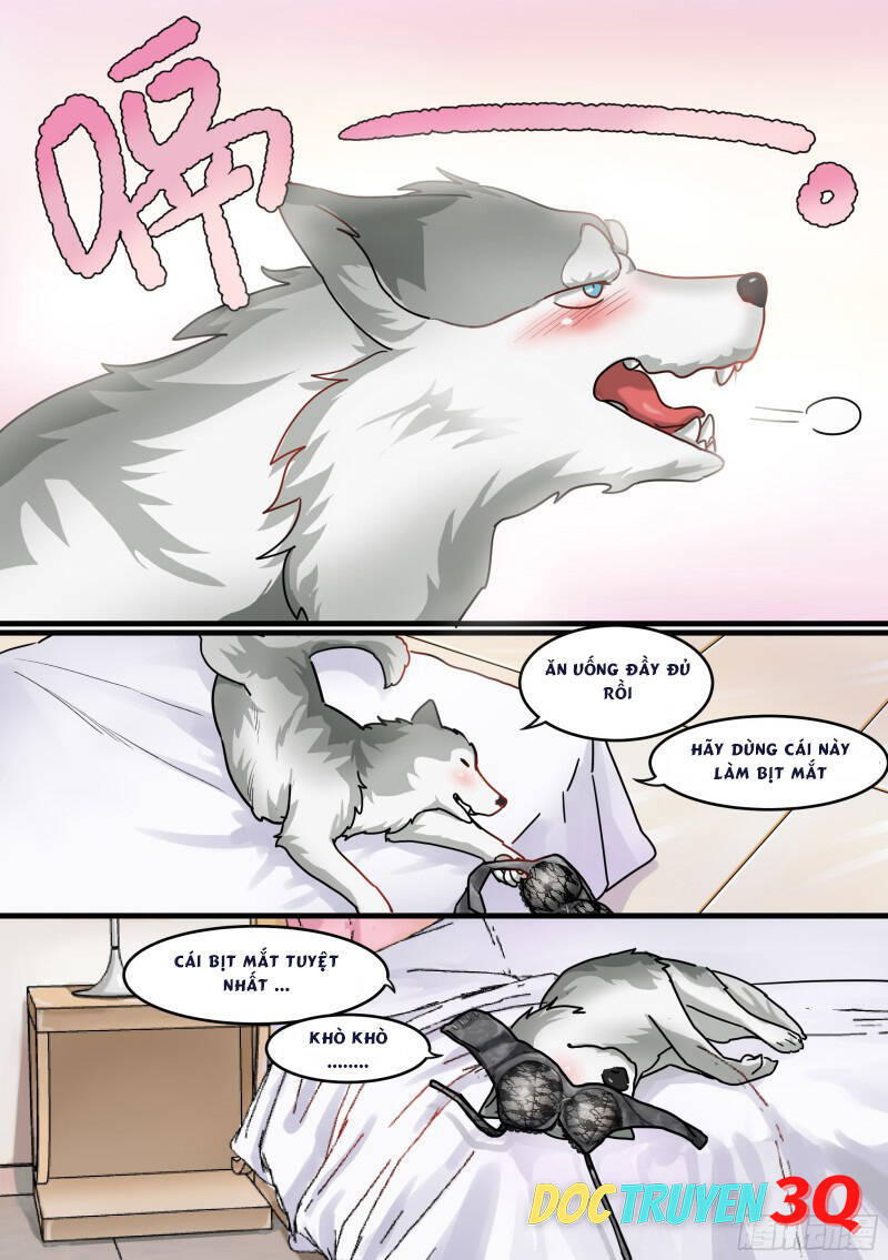 Trọng Sinh Thành Chó Của Nữ Thần Chapter 1 - 10