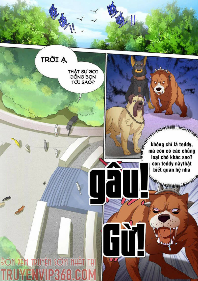 Trọng Sinh Thành Chó Của Nữ Thần Chapter 10 - 1
