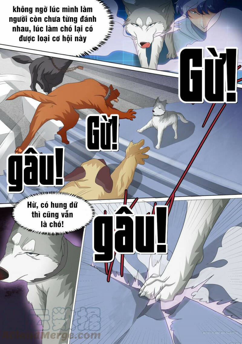Trọng Sinh Thành Chó Của Nữ Thần Chapter 10 - 2