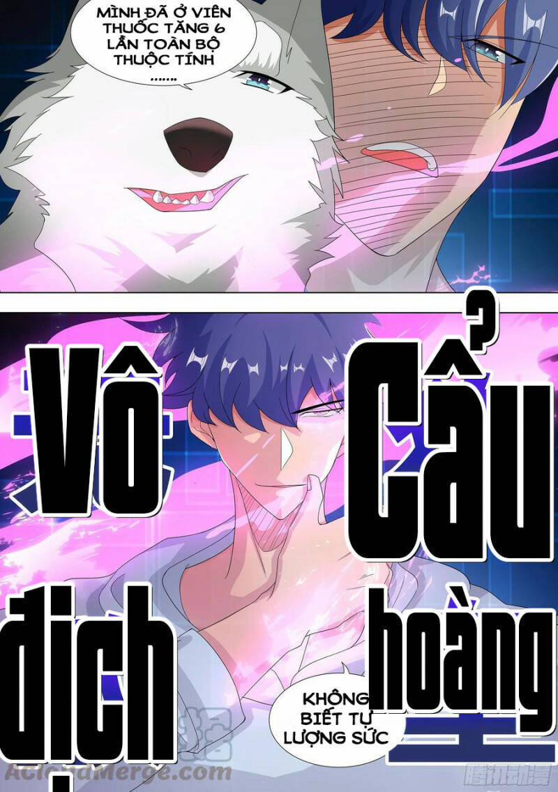 Trọng Sinh Thành Chó Của Nữ Thần Chapter 10 - 4