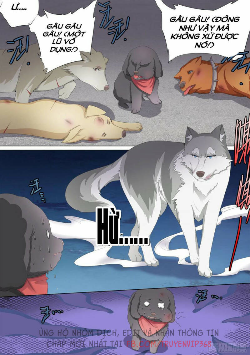 Trọng Sinh Thành Chó Của Nữ Thần Chapter 10 - 5