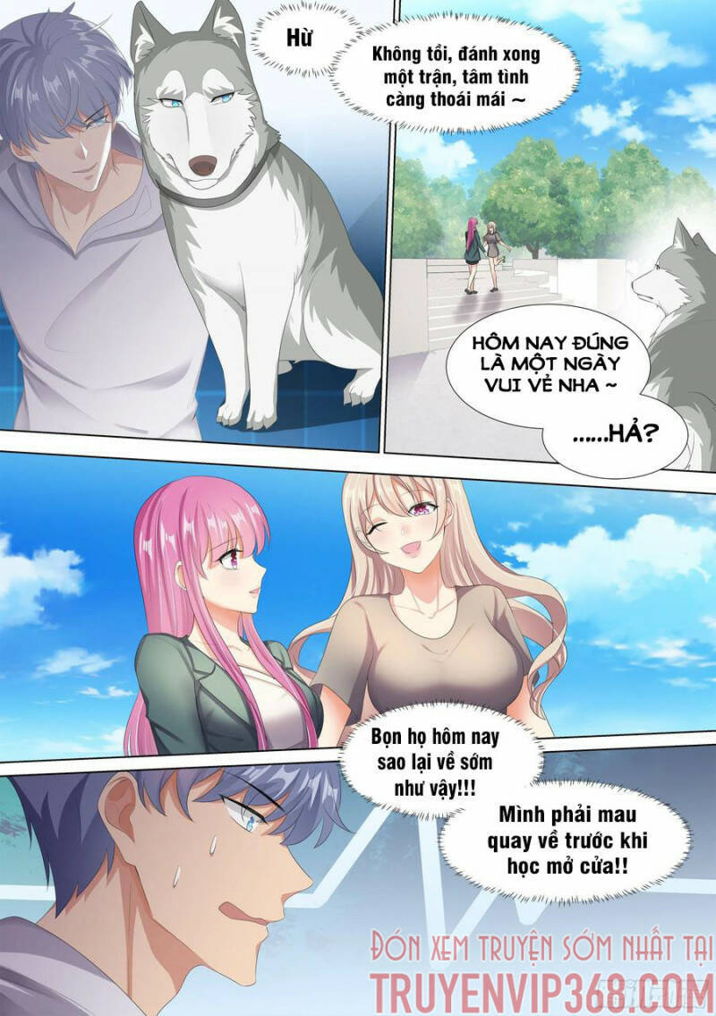 Trọng Sinh Thành Chó Của Nữ Thần Chapter 10 - 7