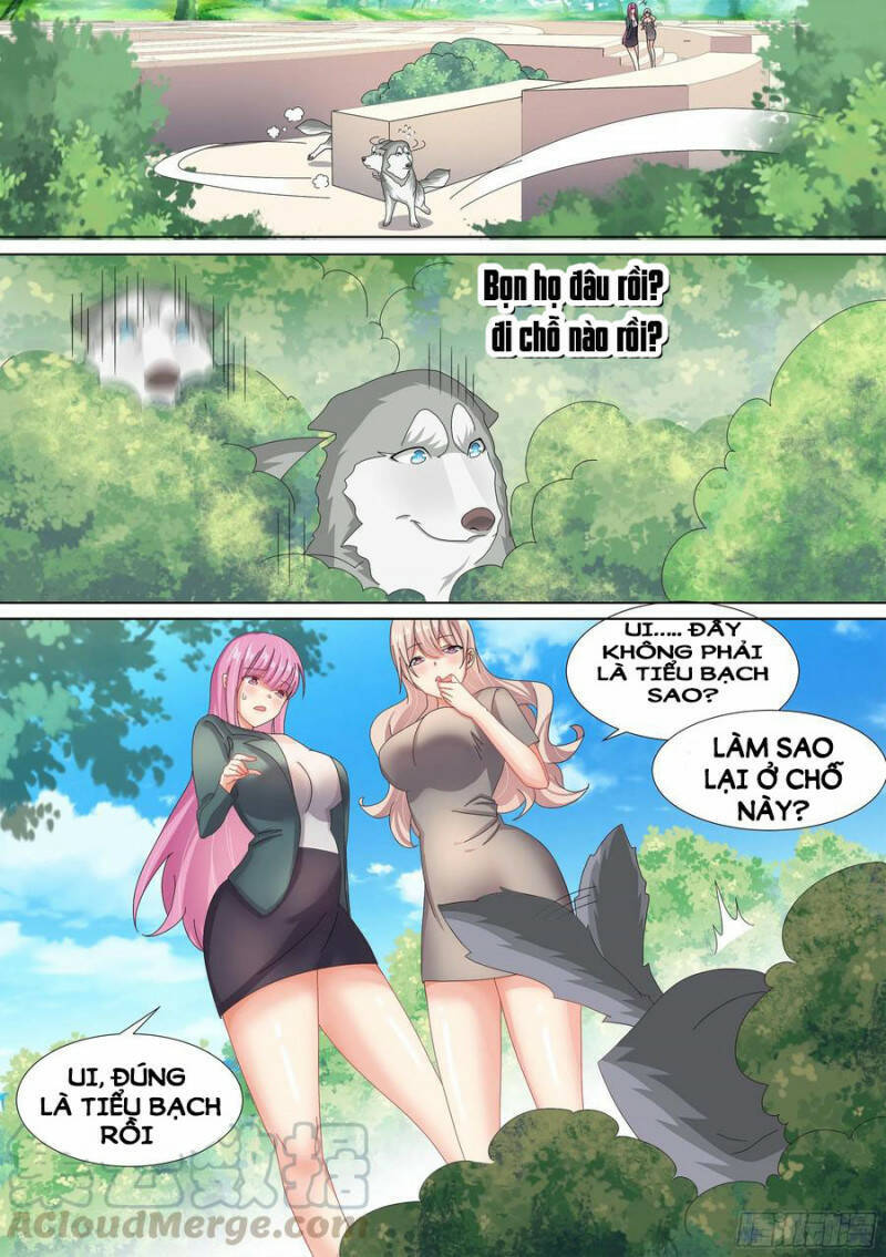 Trọng Sinh Thành Chó Của Nữ Thần Chapter 10 - 8