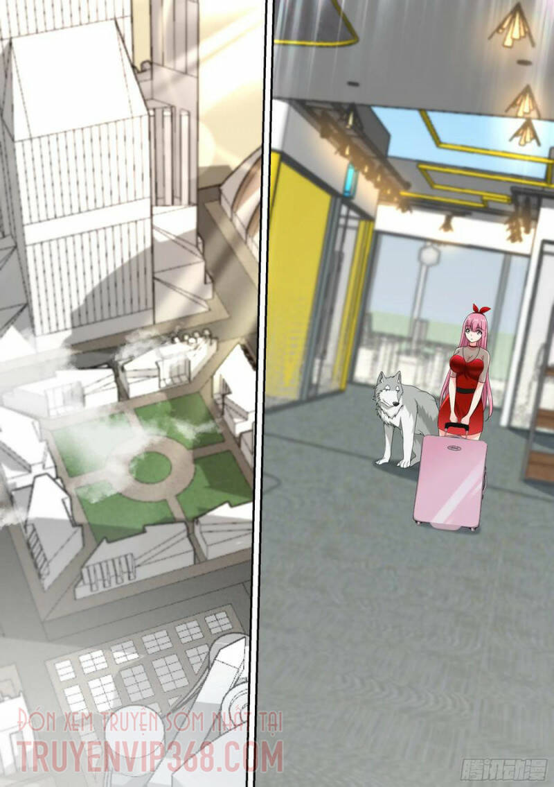 Trọng Sinh Thành Chó Của Nữ Thần Chapter 16 - 2