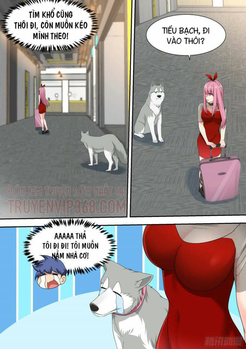 Trọng Sinh Thành Chó Của Nữ Thần Chapter 16 - 4