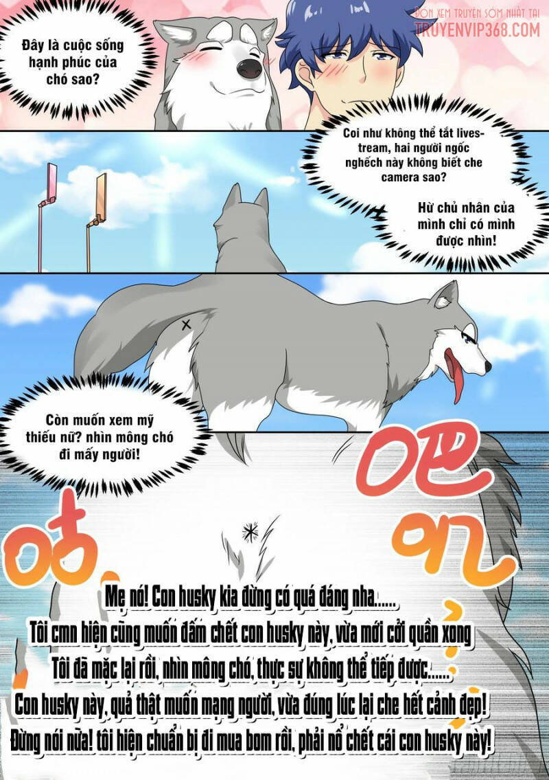 Trọng Sinh Thành Chó Của Nữ Thần Chapter 19 - 13