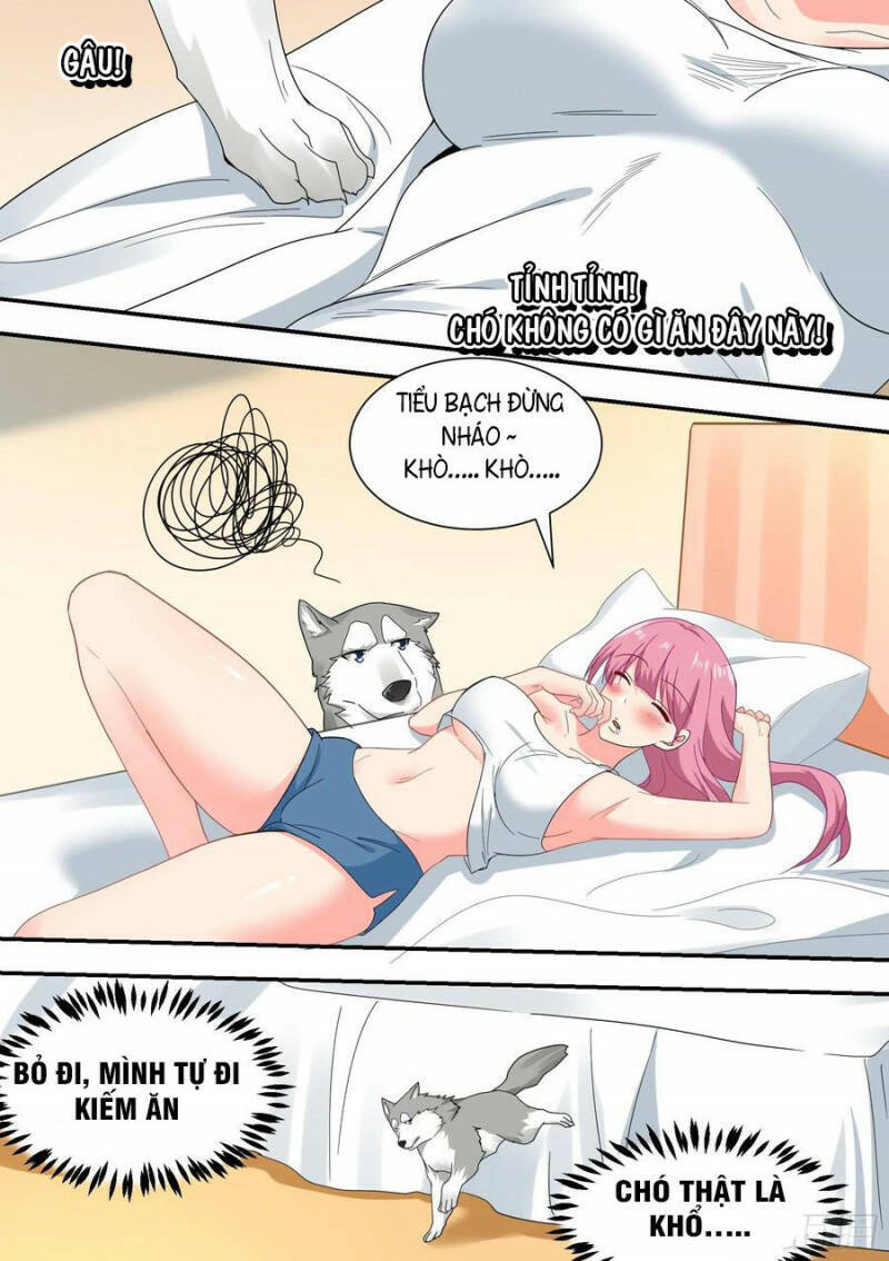 Trọng Sinh Thành Chó Của Nữ Thần Chapter 22 - 6