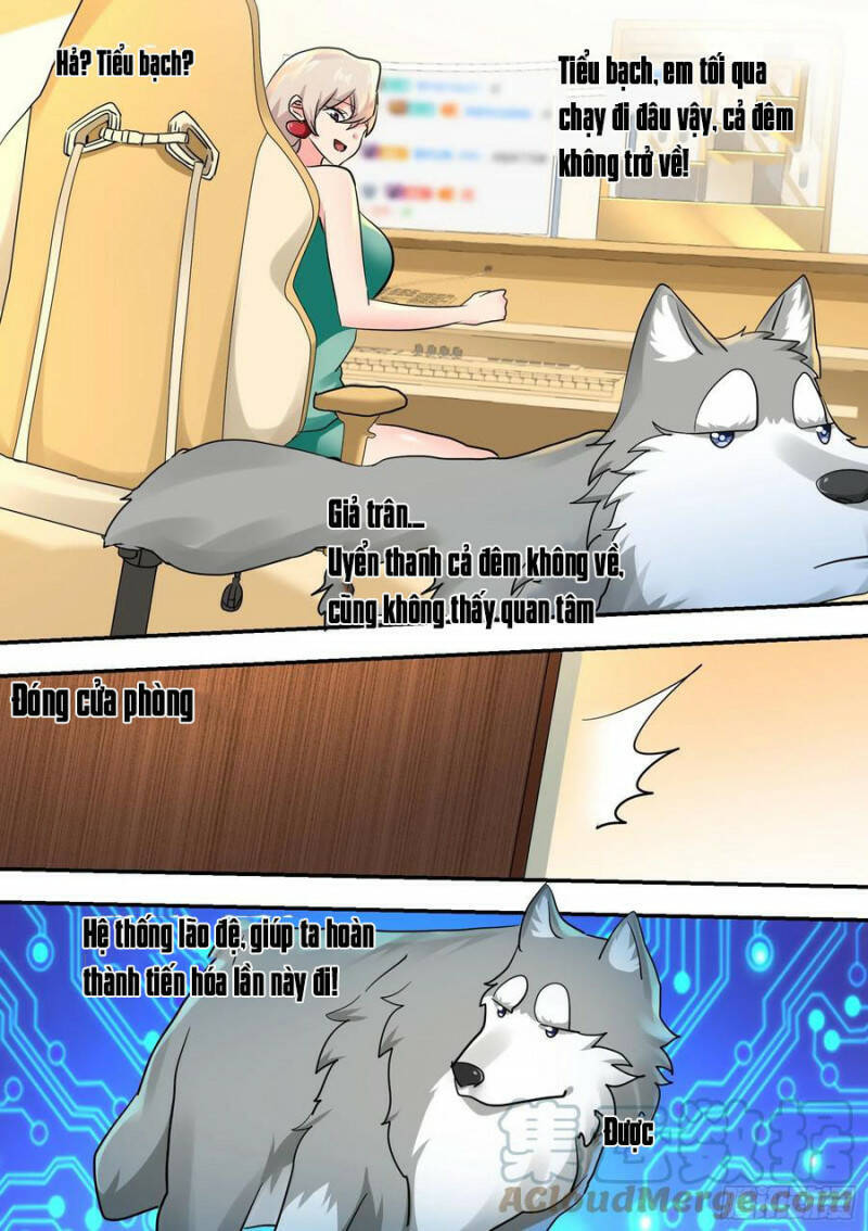 Trọng Sinh Thành Chó Của Nữ Thần Chapter 32 - 11