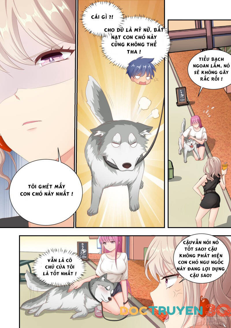 Trọng Sinh Thành Chó Của Nữ Thần Chapter 4 - 12