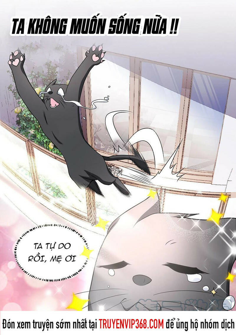 Trọng Sinh Thành Chó Của Nữ Thần Chapter 50 - 5