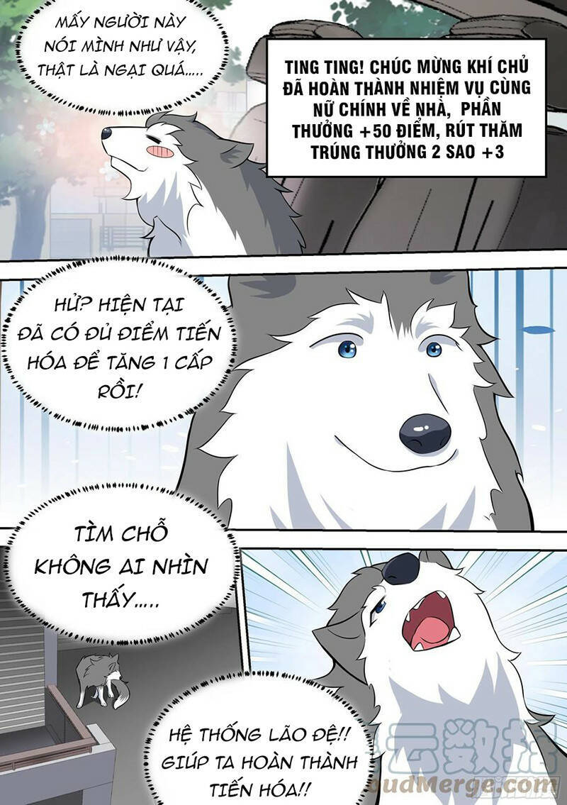 Trọng Sinh Thành Chó Của Nữ Thần Chapter 63 - 11