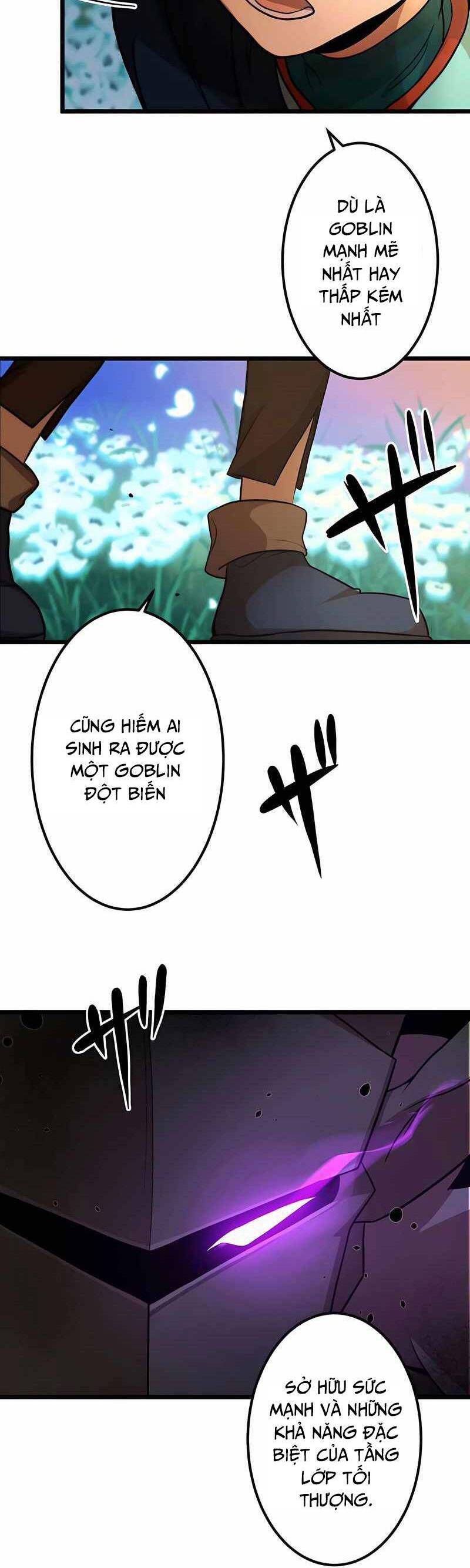 Tái Sinh Thành Goblin Cấp Sss Chapter 2 - 68