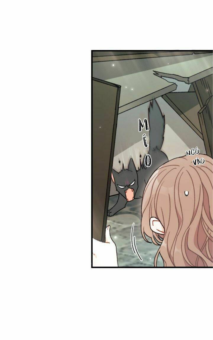 Tôi Đã Có Chồng Sau Khi Nhặt Được Nam Chính Chapter 3 - 11