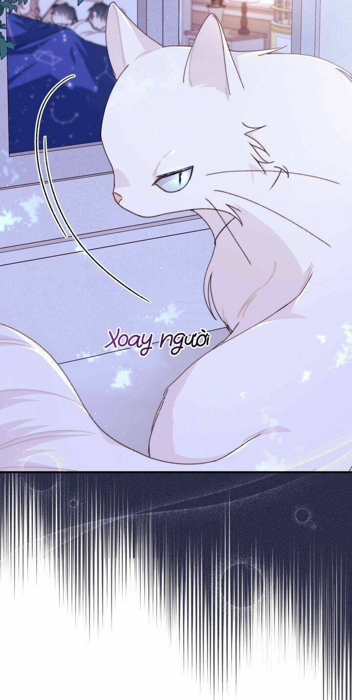 Tôi Đã Có Chồng Sau Khi Nhặt Được Nam Chính Chapter 34 - 52