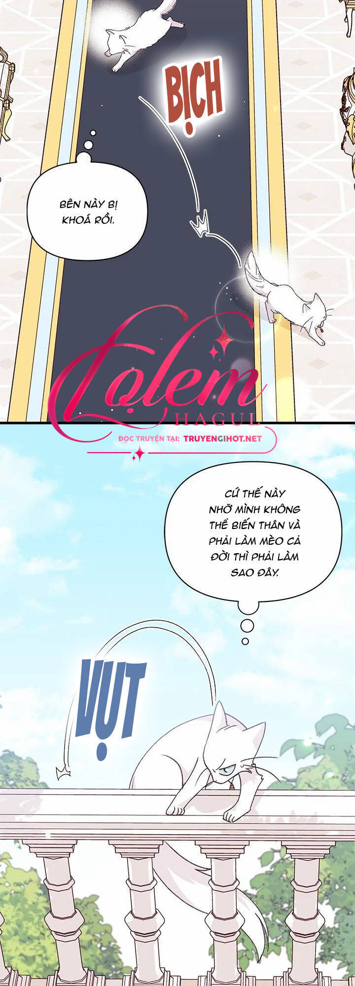 Tôi Đã Có Chồng Sau Khi Nhặt Được Nam Chính Chapter 47.1 - 6