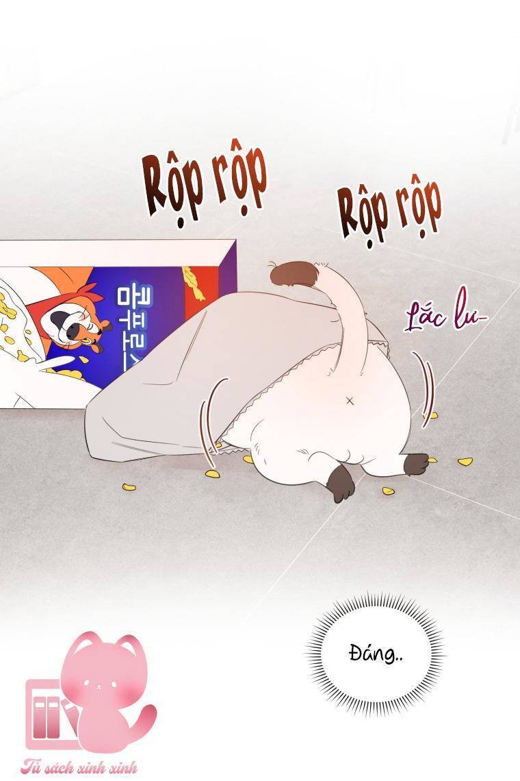 Dịch Vụ Chuyển Phát Hình Mẫu Lý Tưởng Chapter 11 - 55