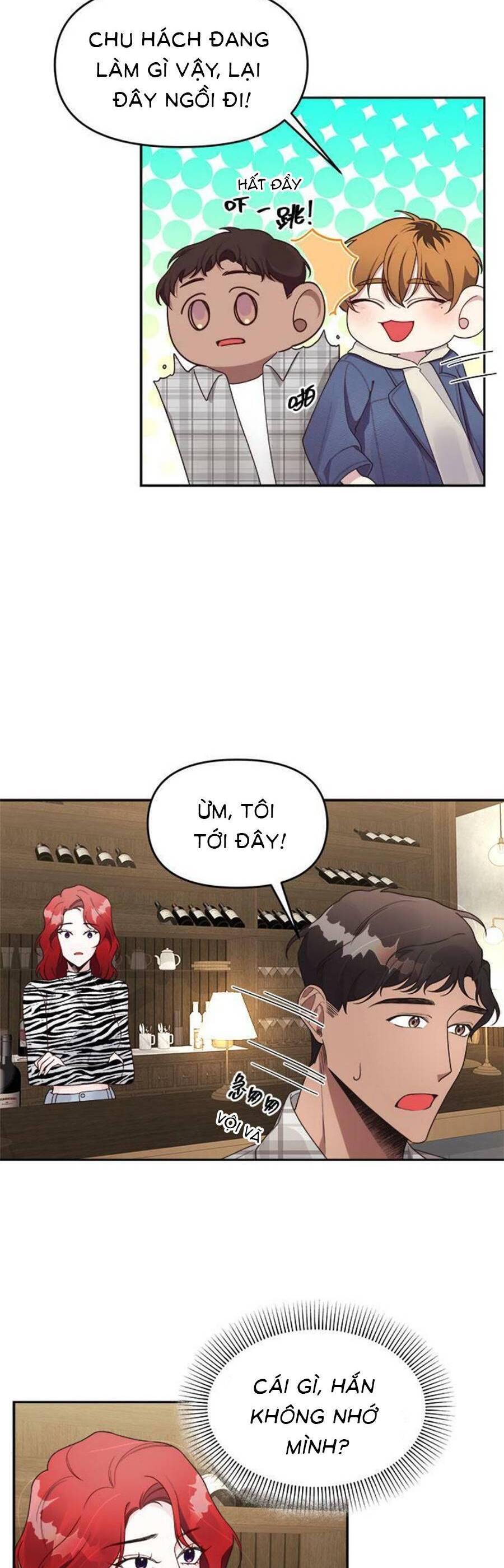 Ai Đã Dành Một Đêm Với Tôi Chapter 8.1 - 13