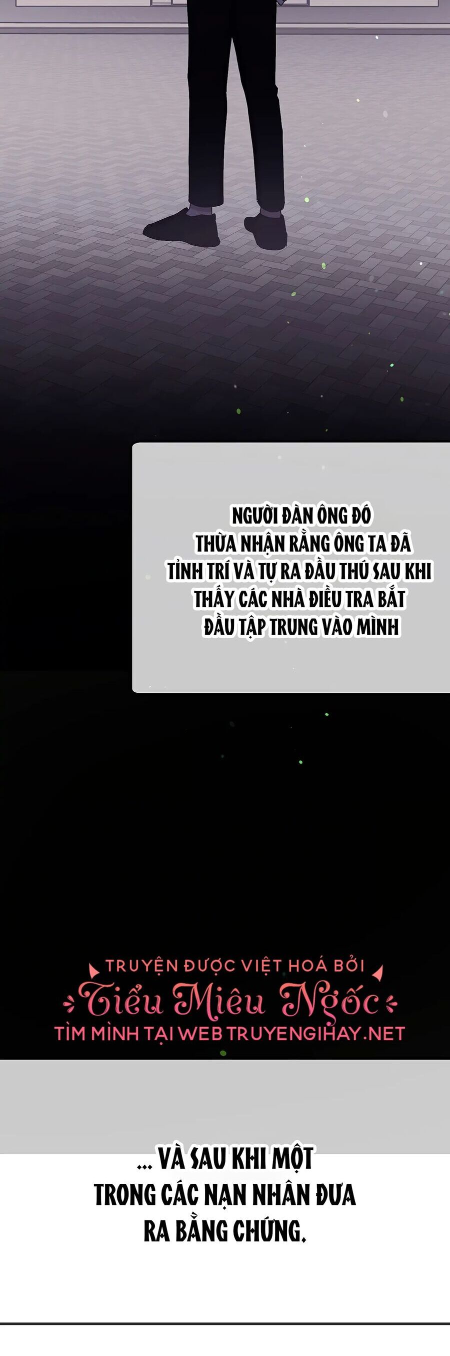 Người Chồng Thứ Hai Của Tôi Chapter 58.2 - 24