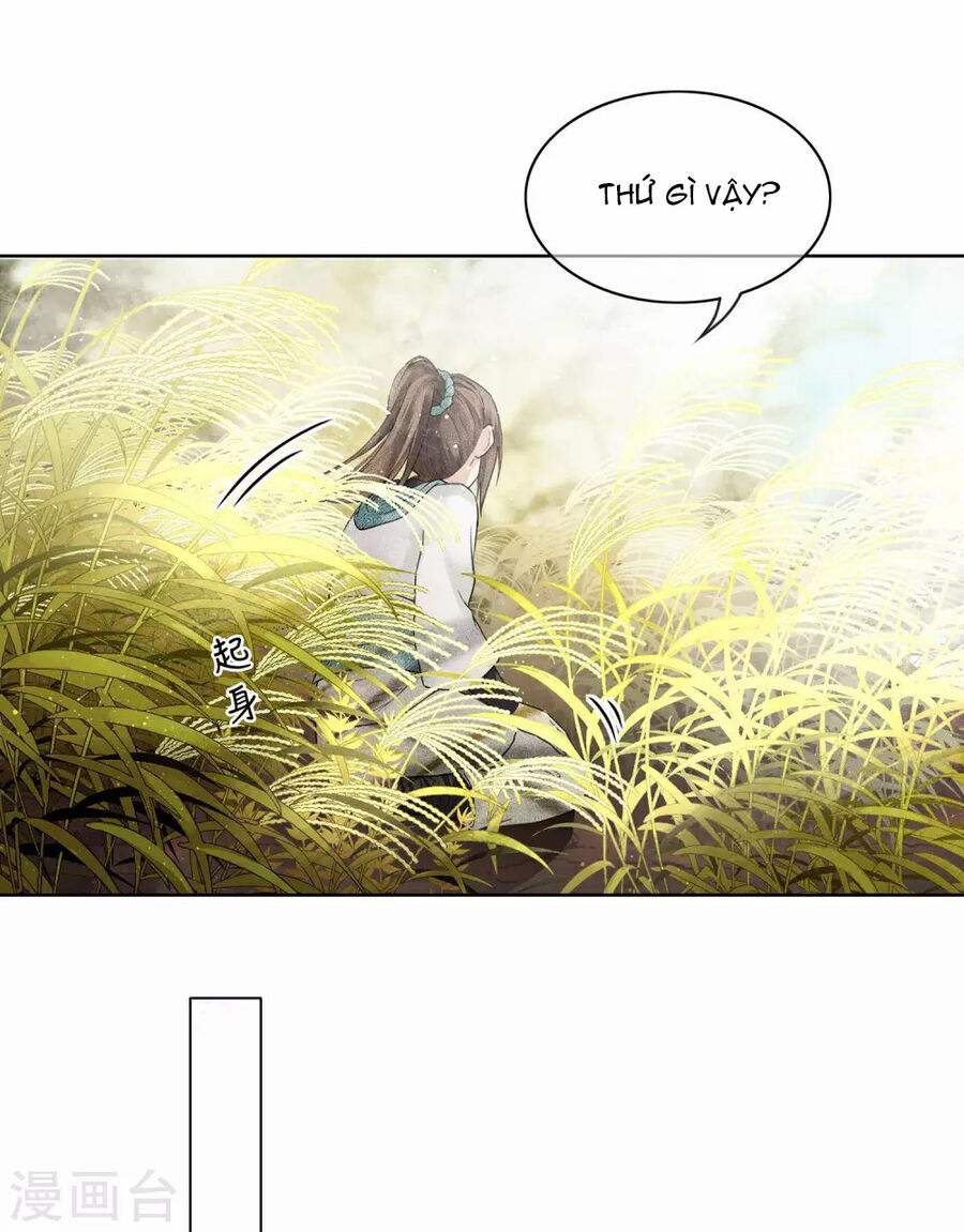 Trường Tương Tư Chapter 1 - 41