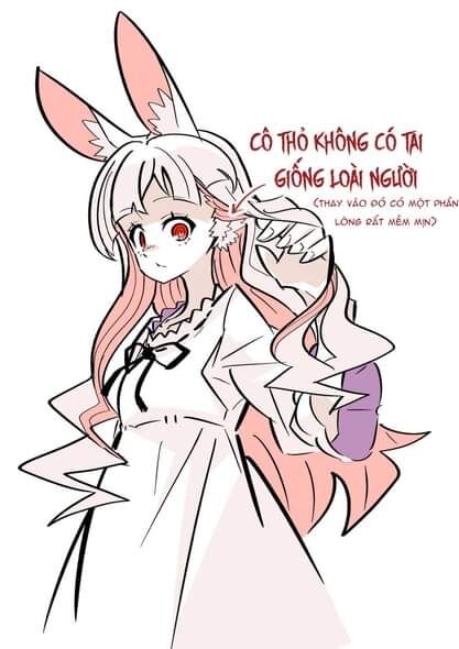 Cô Thỏ Sát Nhân Chapter  1 - 10