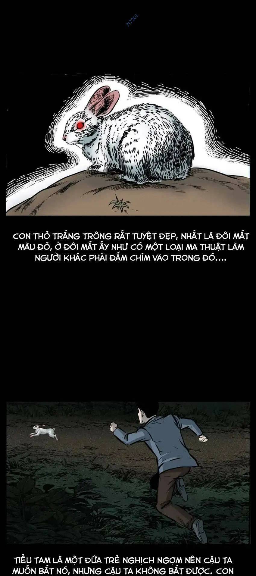 Truyện Kinh Dị Đời Thực Chapter 11 - 13