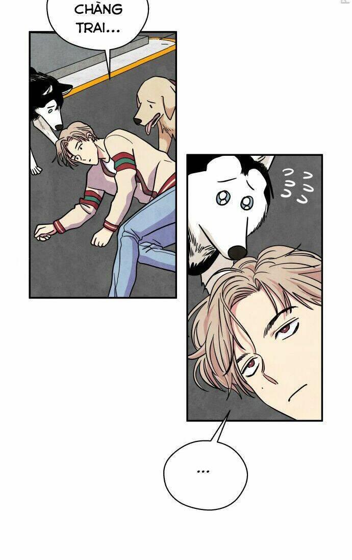 Nàng Chó Sói Và Chiếc Khăn Choàng Đỏ Chapter 28 - 21