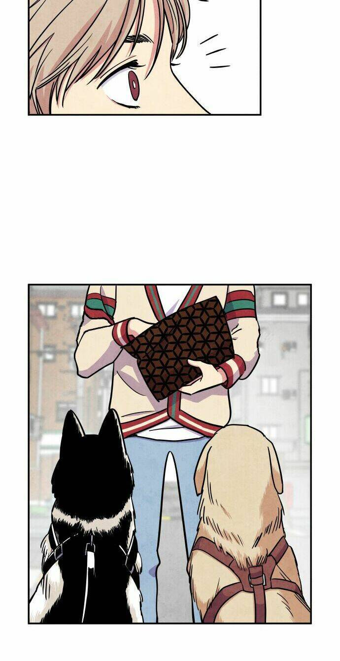 Nàng Chó Sói Và Chiếc Khăn Choàng Đỏ Chapter 28 - 34