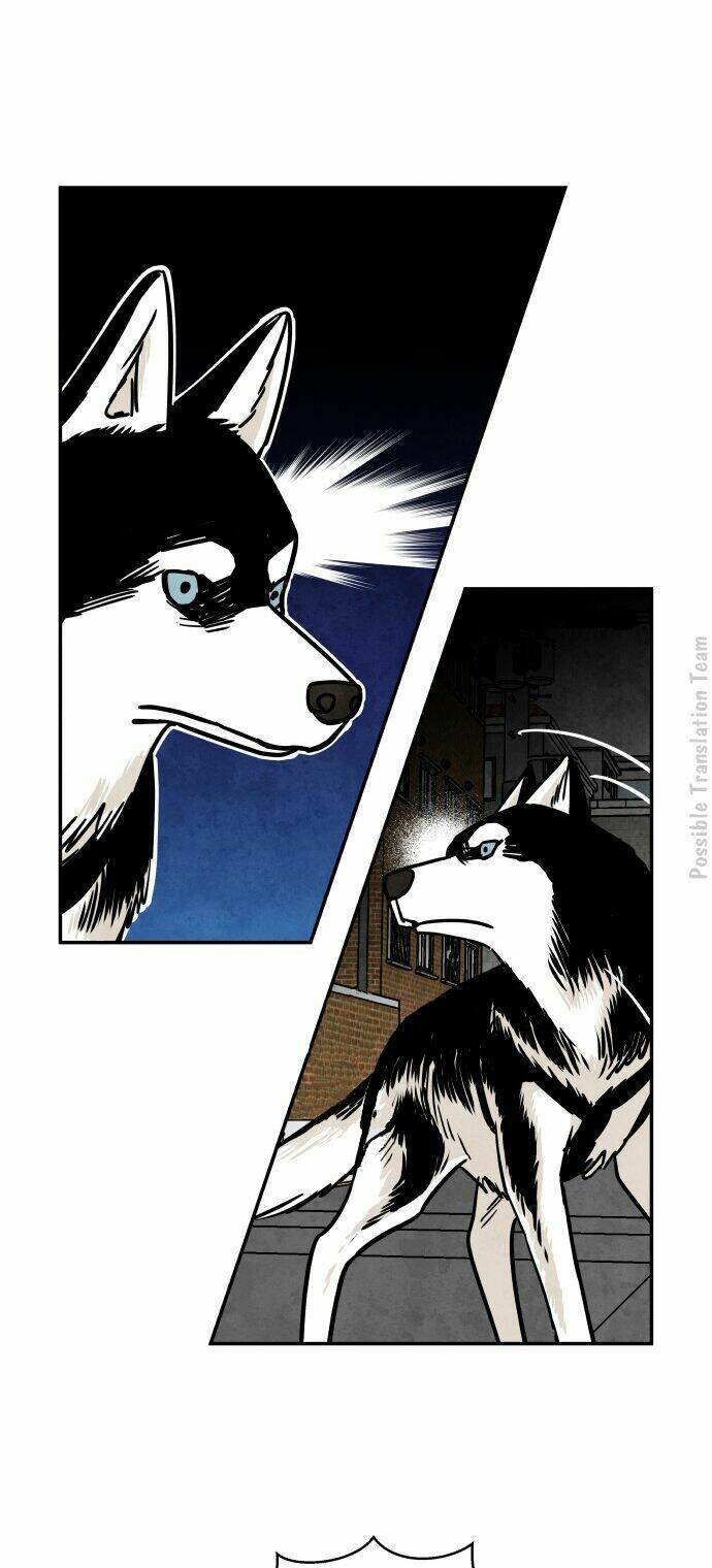 Nàng Chó Sói Và Chiếc Khăn Choàng Đỏ Chapter 28 - 37