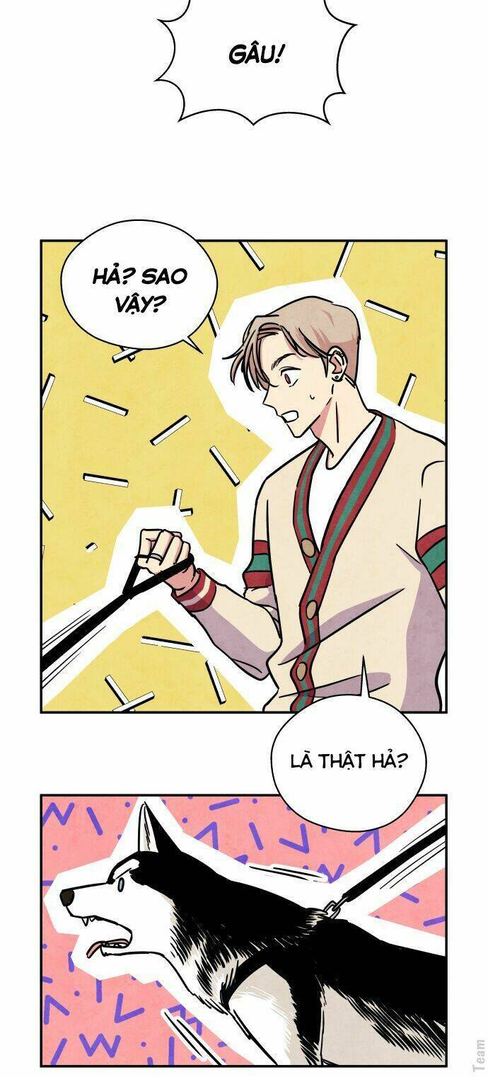 Nàng Chó Sói Và Chiếc Khăn Choàng Đỏ Chapter 28 - 38