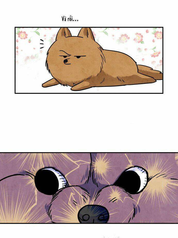 Nàng Chó Sói Và Chiếc Khăn Choàng Đỏ Chapter 31 - 11