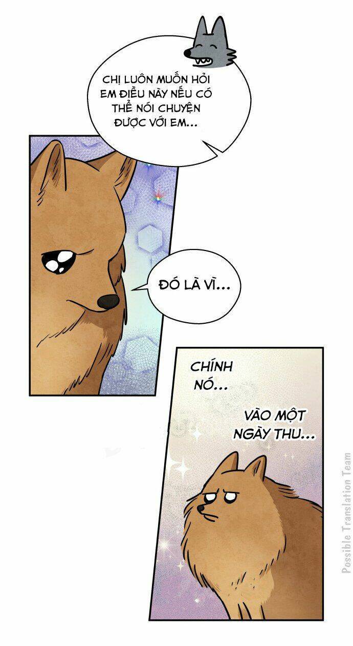 Nàng Chó Sói Và Chiếc Khăn Choàng Đỏ Chapter 31 - 24