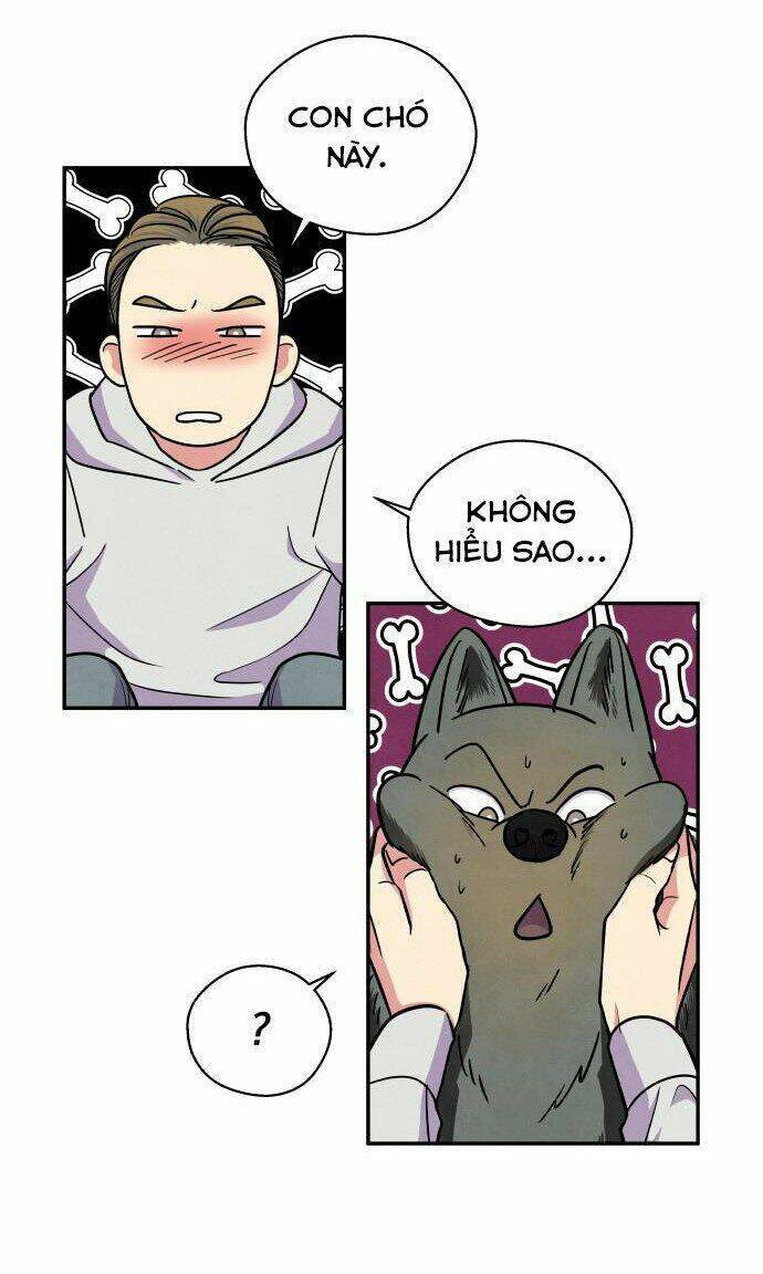 Nàng Chó Sói Và Chiếc Khăn Choàng Đỏ Chapter 38 - 22