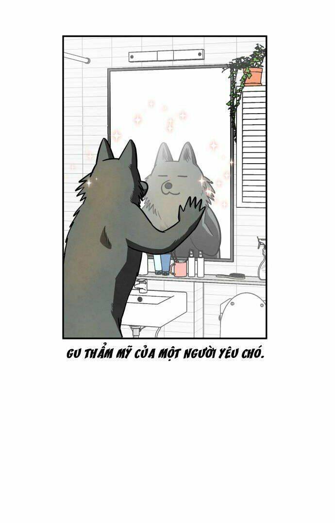 Nàng Chó Sói Và Chiếc Khăn Choàng Đỏ Chapter 38 - 61