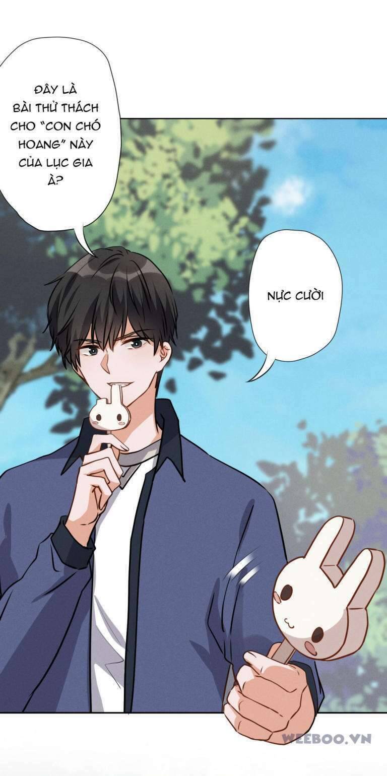 Long Vương Điện: Người Ở Rể Giàu Nhất Chapter 6 - 19