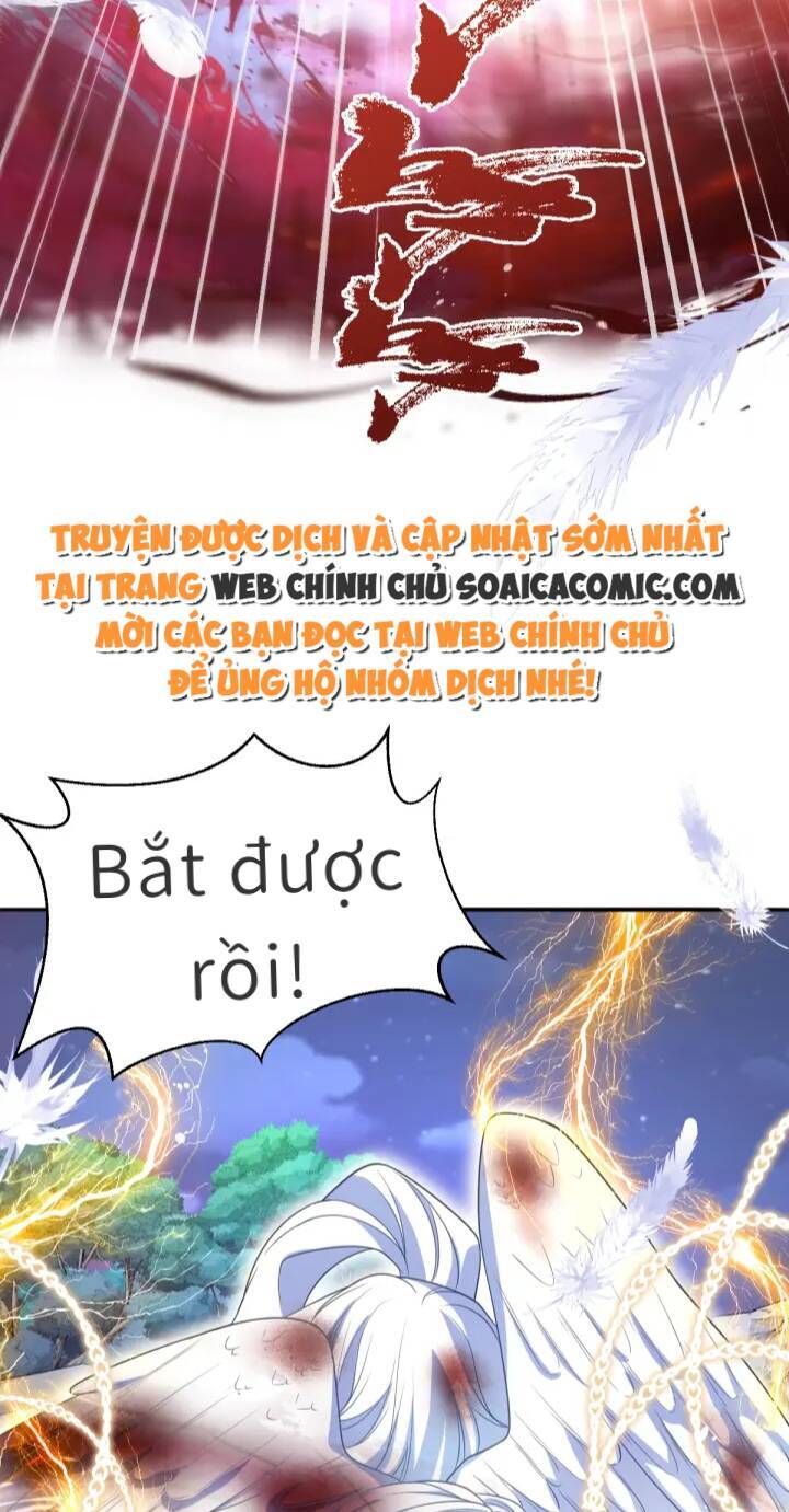 Trở Thành Đoàn Sủng Về Sau, Ta Đại Sát Tứ Phương Chapter 3 - 53