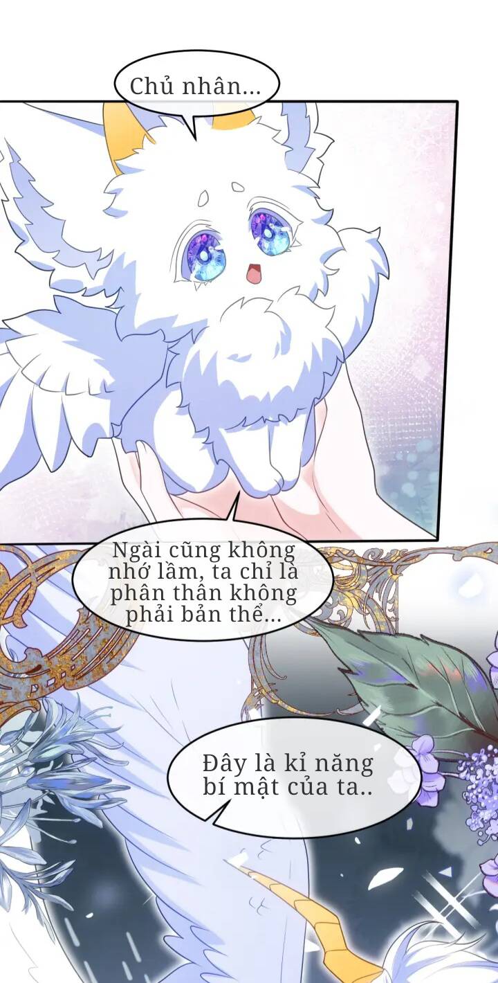 Trở Thành Đoàn Sủng Về Sau, Ta Đại Sát Tứ Phương Chapter 5 - 9