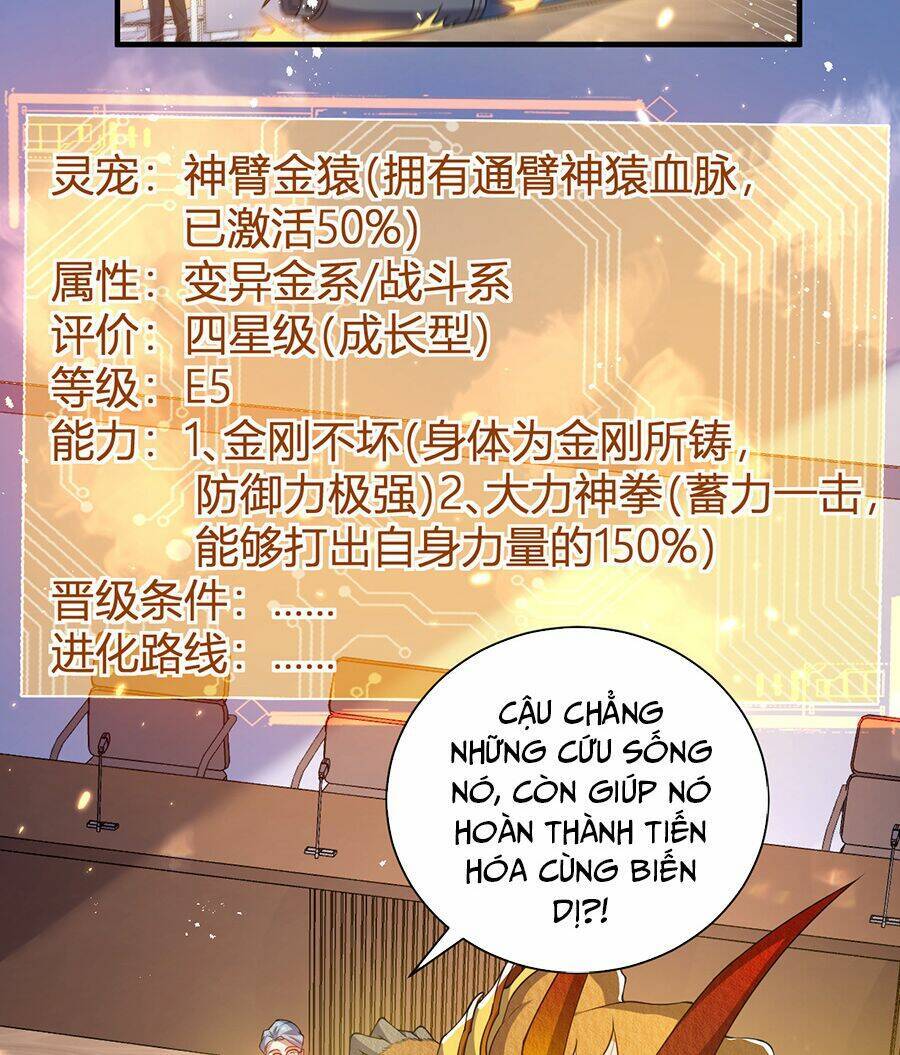 Hệ Thống Mô Phỏng Linh Sủng Chapter 21 - 10