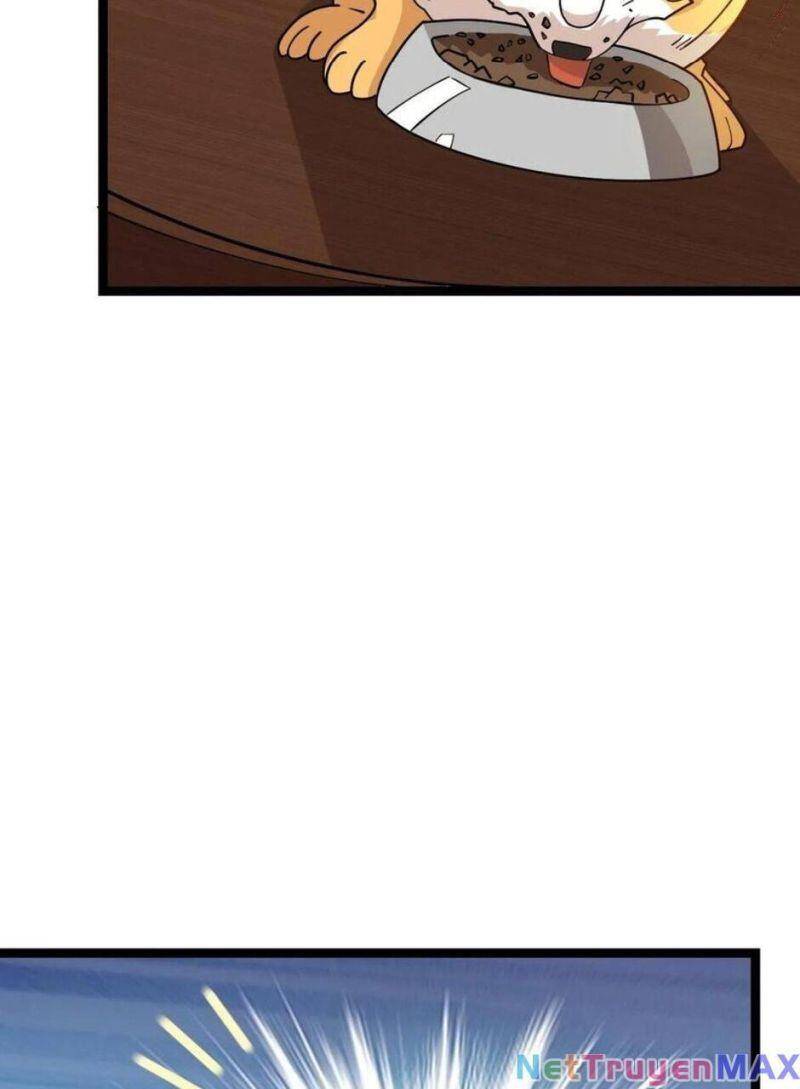 Thiên Khải Bại Gia Chapter 14 - 9