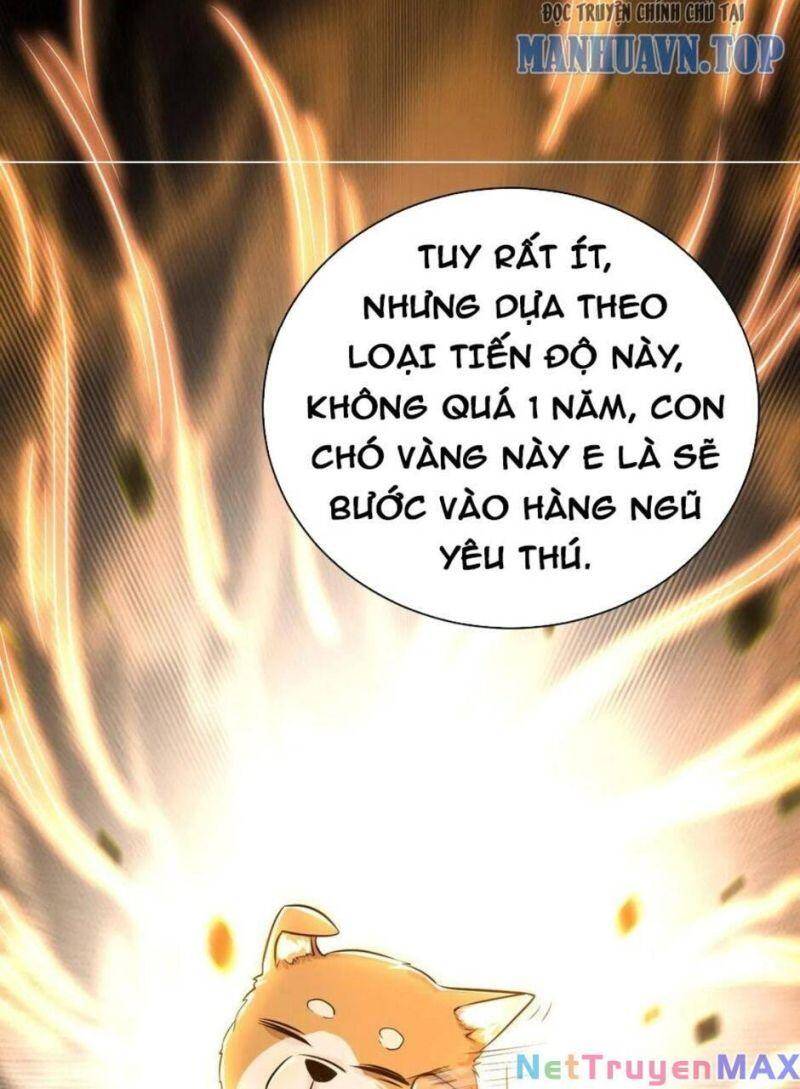 Thiên Khải Bại Gia Chapter 15 - 23