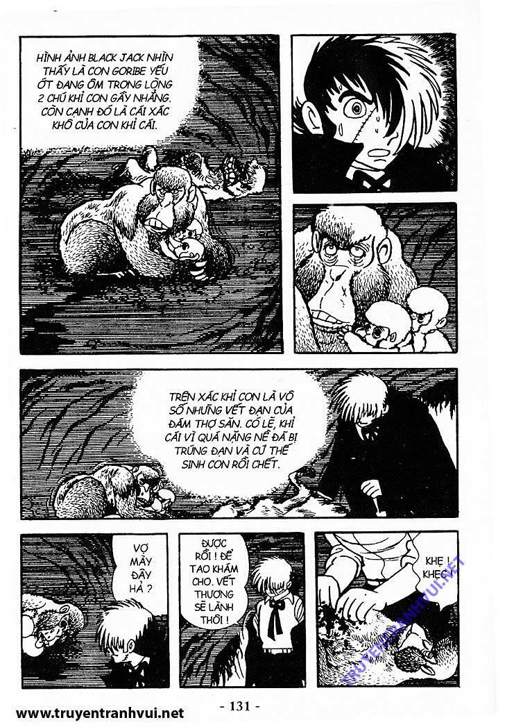 Black Jack Chapter 187 - 18