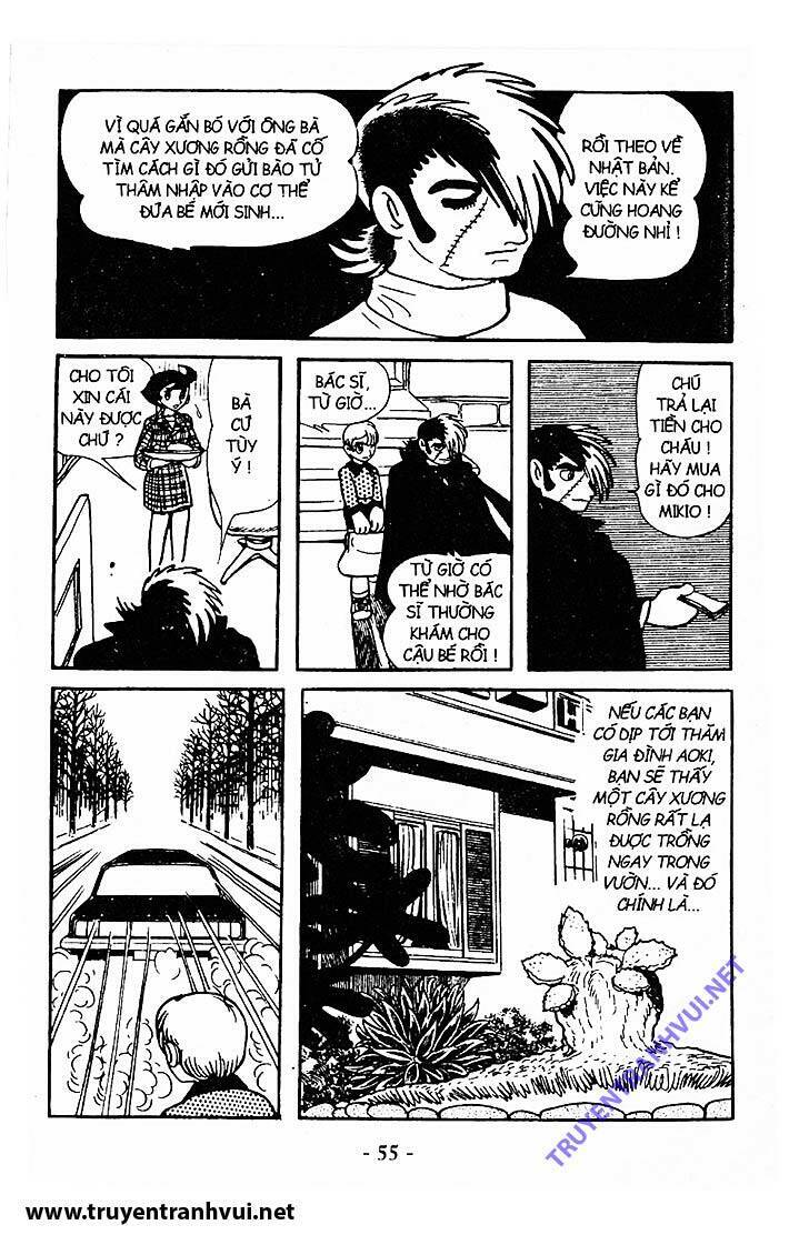 Black Jack Chapter 211 - 22