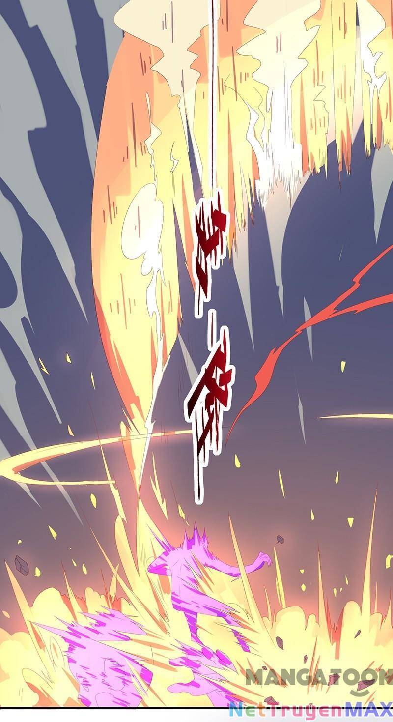 Đấu Chiến Thắng Phật Chapter 47 - 13